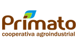 Primato